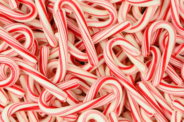 candy-canes