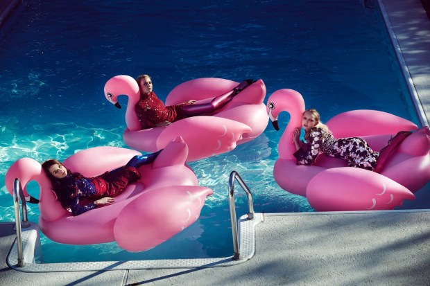 Photo courtesy of jamienelson.com 